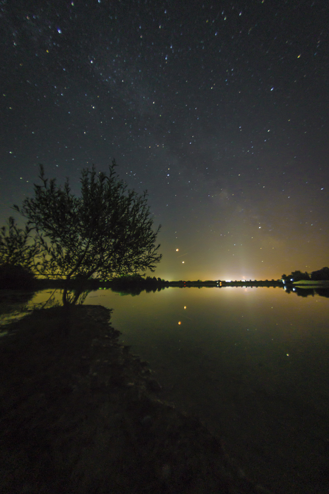 Platz 9 Harald Unglert